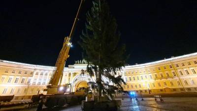 На Дворцовой площади установили главную новогоднюю ель