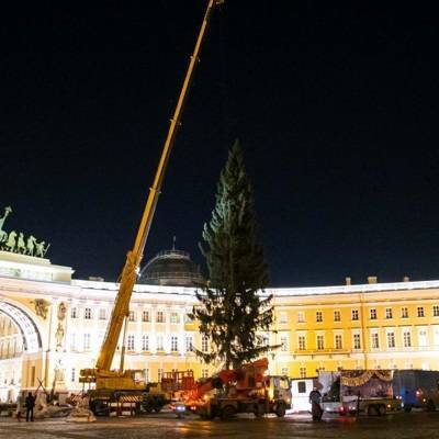 Новогоднюю ель установили на Дворцовой площади в Петербурге