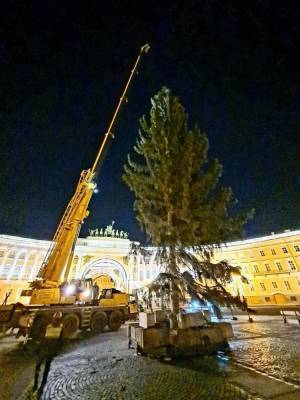 Установка елки и оформление Дворцовой площади Петербурга к Новому году обойдется в ₽13 млн