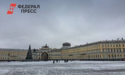 Главную площадь Петербурга украсили новогодней живой елью