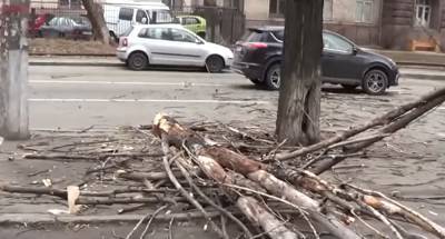 Украинцев предупредили об ухудшении погоды и штормовом ветре
