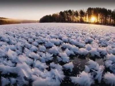 «Ледяные цветы» на реке удивили нижегородцев