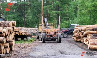 Сотня рабочих алтайского лесхоза просят Путина вернуть им работу