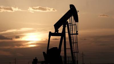 В «Белнефтехиме» рассказали о планах поставок нефти из России в декабре