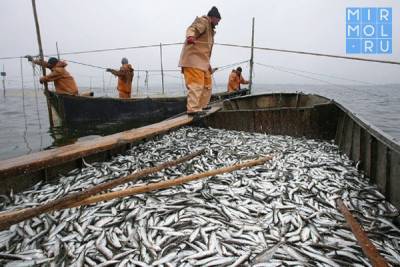 Более 1,5 млн редких видов рыбы выпущено в водоемы Дагестана