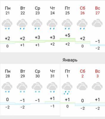 В новогоднюю ночь в Липецке обещают снег с дождем