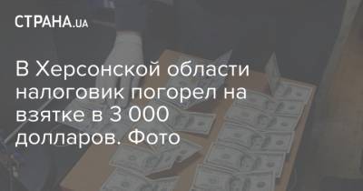 В Херсонской области налоговик погорел на взятке в 3 000 долларов. Фото