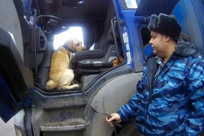 В Смоленской области служебный пес УФСИН не дал провезти наркотики в колонию