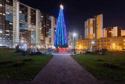 Проекты Setl Group в разных районах Петербурга украсили новогодние ели