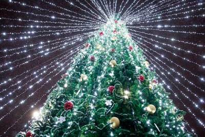В Подмосковье к Новому году установят и украсят две тысячи елок