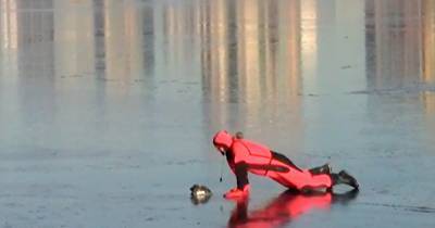 Московские спасатели вызволили вмерзшую в лед утку