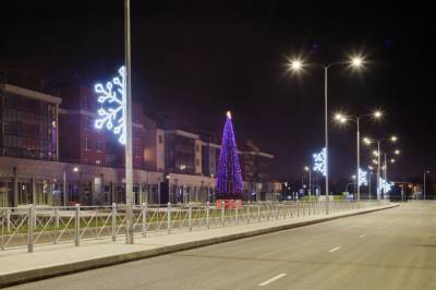 В разных районах Петербурга новогодние ели украсили проекты Setl Group
