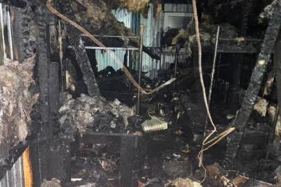На Ставрополье проверяют обстоятельства гибели мужчины в пожаре