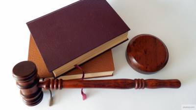 Суд во Франции вынес приговор убийце кукарекавшего петуха