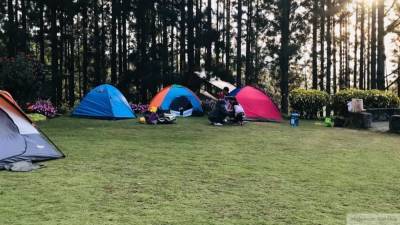 Фигуранты дела о пожаре в хабаровском палаточном лагере не признали вину