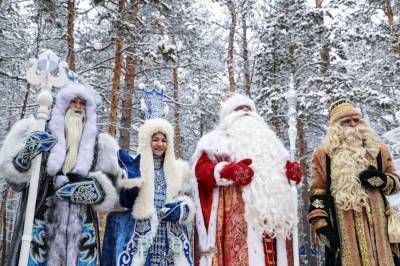 Спрос на услуги Деда Мороза снизился на 15% в Нижнем Новгороде
