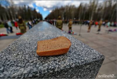 Следствие не окончено: ещё одно захоронение подростков и детей, убитых гитлеровцами, обнаружено в Ленинградской области