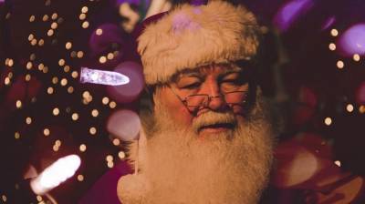 В Воронеже спрос на поздравление от Деда Мороза вопреки пандемии вырос в полтора раза