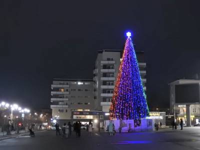 В Луге установили главную новогоднюю елку — фото