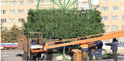 На площади Ленина в Орле начали устанавливать елку