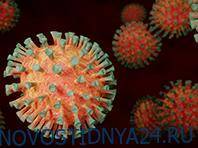 Ученые опробовали новое средство против коронавируса