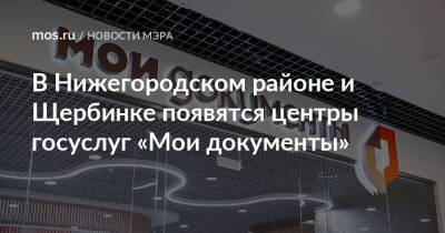 В Нижегородском районе и Щербинке появятся центры госуслуг «Мои документы»