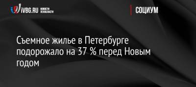 Съемное жилье в Петербурге подорожало на 37 % перед Новым годом