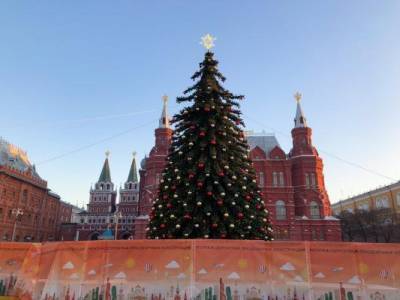 В Москве установили новогоднюю ёлку на Манежной площади