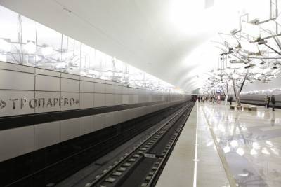 В Дептрансе опровергли информацию о возгорании в поезде на станции метро "Тропарево"