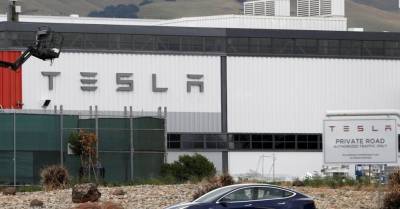 Возведение завода Tesla в Германии остановили из-за змей и прытких ящериц