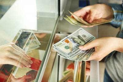 Украинцы в ноябре скупили валюты на $127,8 млн больше, чем продали