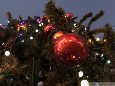 Психолог объяснила, как правильно украсить елку к Новому году