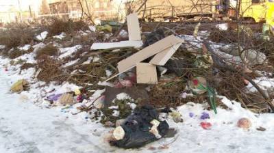 Жители Зари не могут добиться вывоза отходов - penzainform.ru