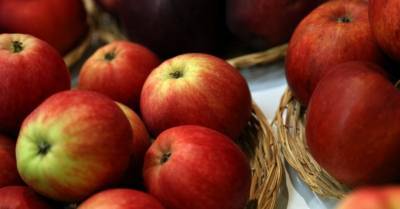 Россия запретила импорт азербайджанских томатов и яблок
