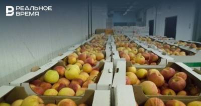 Россельхознадзор запретил поставки томатов и яблок из Азербайджана