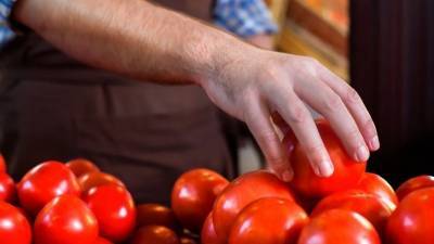 В Россию запретят ввозить томаты и яблоки из Азербайджана