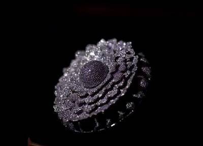 Ювелир из Индии создал кольцо из 12 500 бриллиантов и попал в Книгу рекордов (ВИДЕО)