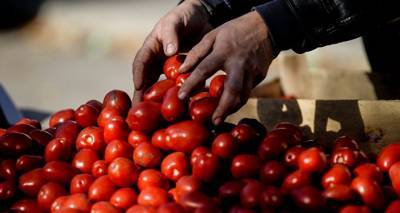Россельхознадзор с 10 декабря запрещает импорт в Россию томатов и яблок из Азербайджана