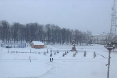 В Смоленске держится нетрадиционно ясная погода 9 ноября