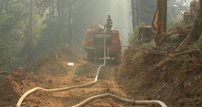 На западе Грузии бушует пожар на болоте