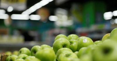 В РФ ввели запрет на импорт томатов и яблок из Азербайджана