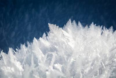 В Брянской области в среду 9 декабря обещают 13 градусов мороза
