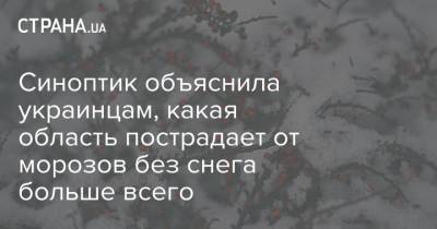 Татьяна Адаменко - Синоптик объяснила украинцам, какая область пострадает от морозов без снега больше всего - strana.ua - Украина - Луганская обл.