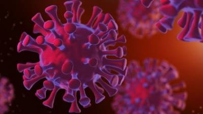 Как снизить шансы заражения коронавирусом — мнение иммунолога