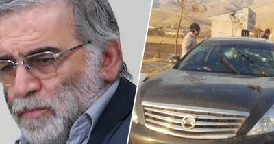 В Иране задержали причастных к убийству физика-ядерщика Фахризаде