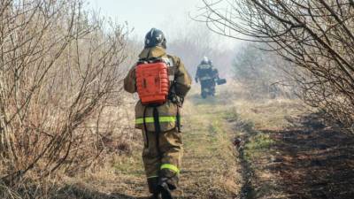 В МЧС сообщили о возгорании на нефтяной скважине в Оренбургской области