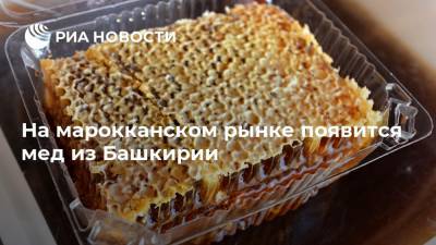 На марокканском рынке появится мед из Башкирии