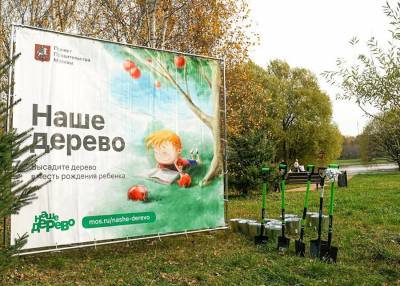 Более пяти тысяч именных деревьев высадили в парках Москвы