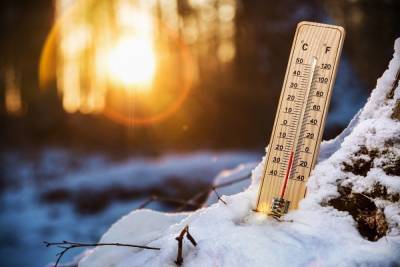 Синоптики рассказали о морозной погоде в Тамбовской области на неделе