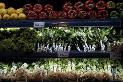 В правительство внесен проект закона о «зеленой продукции»